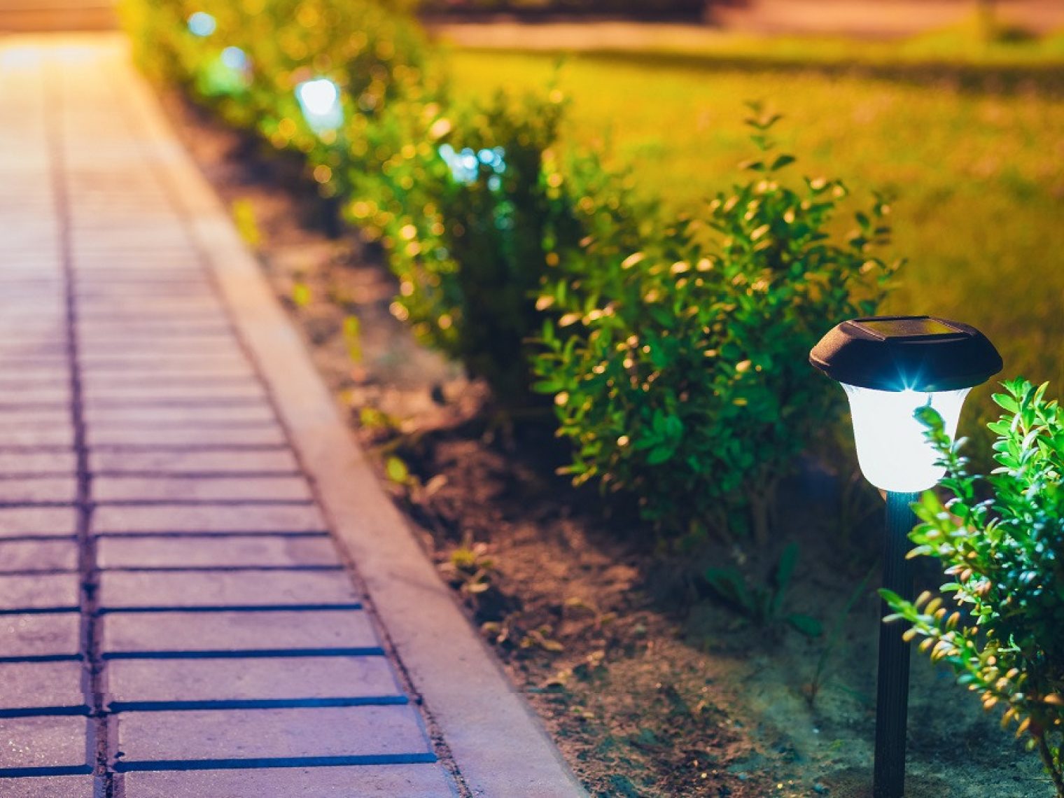 Closeup of a neat, well maintained lawn and walkway to someone's house.